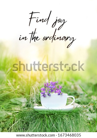 Find joy in the ordinary - inspiration quote. white cup with spring flowers violets in garden, natural background. beautiful composition with wild viola flowers in magical garden of spring season.