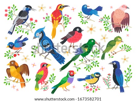 Set of forest birds. Vector cartoon songbirds characters isolated on white background. Woodland animals collection with branches and leaves