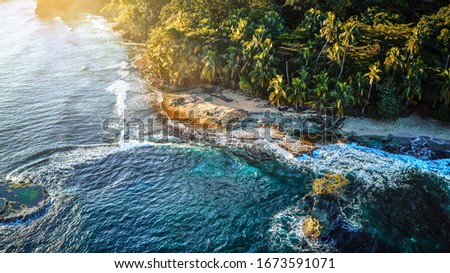 Aerial photo of a sandy tropical beach with growing palm trees surrounded by blue ocean water and golden sunlight