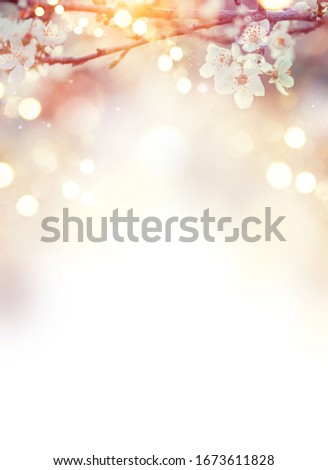 Spring Nature Easter art background with blossom. Beautiful nature scene with blooming flowers tree and sun. Vertical art, Spring flowers. Beautiful Orchard. Abstract blurred background. Springtime