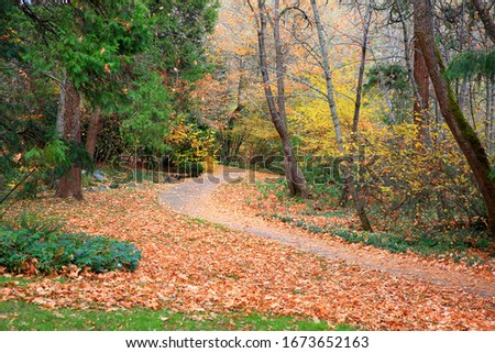 Lithia Park in Autumn, Oregon-USA