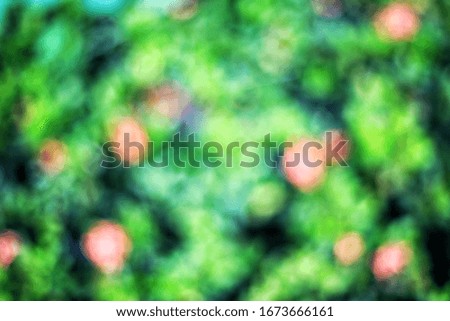 blurred background. out of focus image of plant bush with red flowers. green and red environmental image. ecosystem friendly and environmental awareness concept.