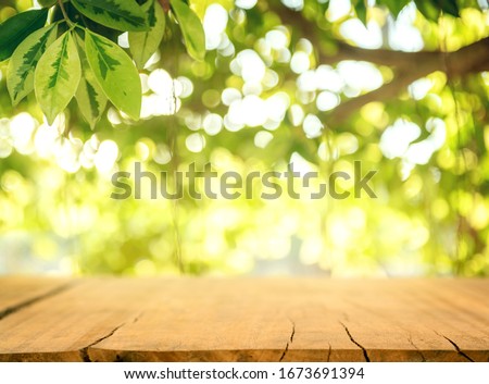 Wooden table and blurred spring background. Spring concept with green nature outdoor.