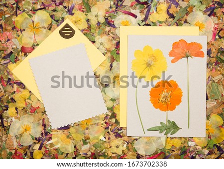 Background of fragments of broken flowers and leaves. Scrapbooking element consists mosaic of flowers, petals an. For cards, invitations, congratulations. Use in greetings, scrapbooking.