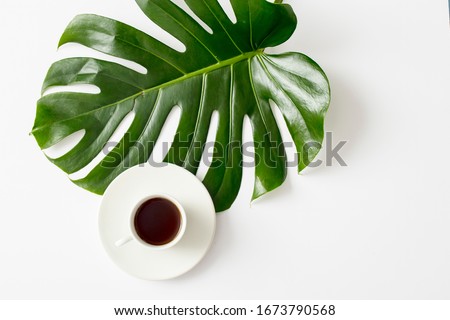 leaf monstera is on the white and cup of coffee background. Copy space