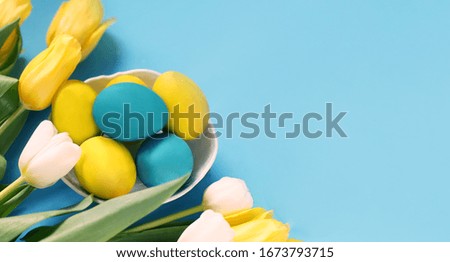 Easter eggs with tulips on a blue background