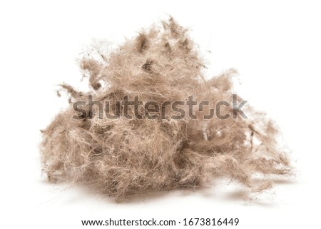 Ball of animal hair fur, cat or dog hair on the white background. Royalty-Free Stock Photo #1673816449