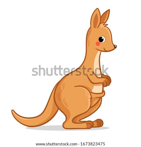 Cute kangaroo stands on a white background. Vector illustration with australian animal in cartoon style.
