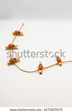 A set of photo clips, natural and lovely patterns of beetles on a rope