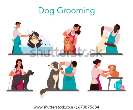 Collection of professional barber grooming dog. Woman and man caring of pet fur - cutting and brushing fur, washing. Vector illustration in cartoon style Royalty-Free Stock Photo #1673875684