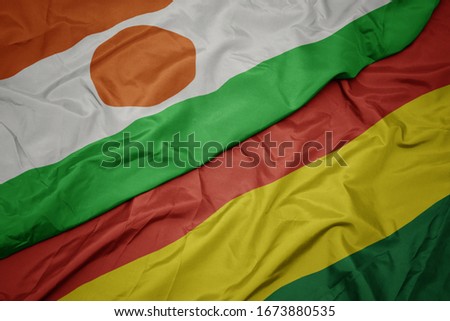 waving colorful flag of bolivia and national flag of niger. macro