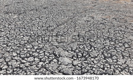The ground is cracked and arid