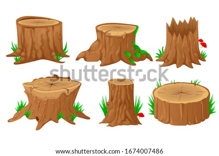 Collection of tree stumps, isolated on white background. Vector illustration in flat style. Royalty-Free Stock Photo #1674007486
