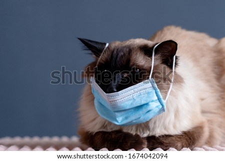 Mask coronavirus covid 19 flu respiratory protection,  covid-19 hazard. Royalty-Free Stock Photo #1674042094