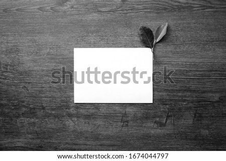 Paper and leaves placed on the table, Black and white minimalist concept, Copy-space.