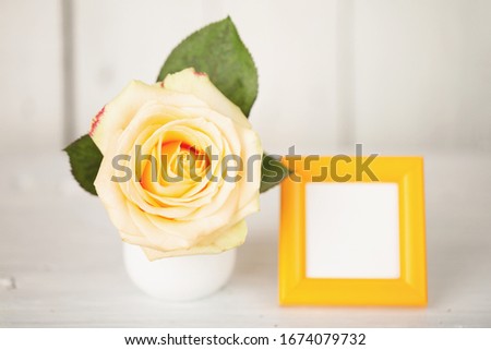 Rose in vase, mockup photo frame. Selective focus