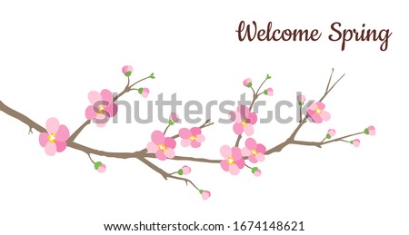 Welcome Spring card with blossoming Japanese cherry branch with pink flowers. Decorative Nature scene at white background. Watercolour painting imitation vector illustration.