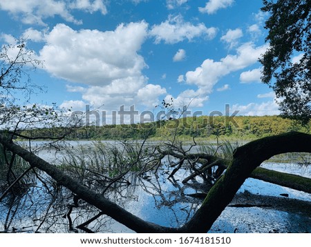 overturned tree above the lake
Travel Photography