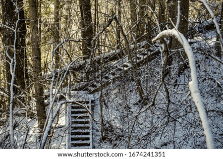 snowy pathway for walking in forest in winter, sunny day with stairs under snow