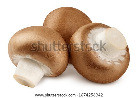champignon, mushroom, isolated on white background, clipping path, full depth of field Royalty-Free Stock Photo #1674256942