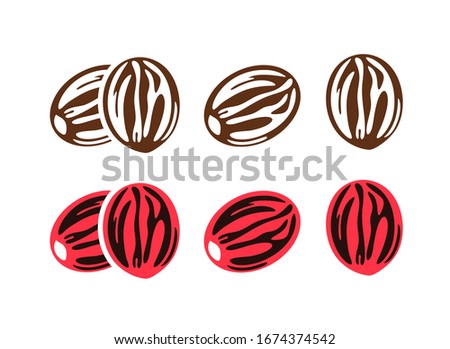 Nutmeg logo. Isolated nutmeg on white background Royalty-Free Stock Photo #1674374542