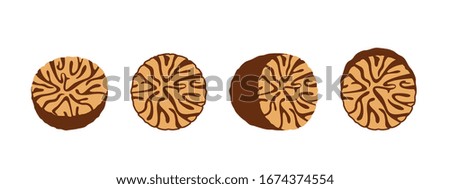 Nutmeg logo. Isolated nutmeg on white background