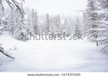 frozen winter landscape in the italia alps Royalty-Free Stock Photo #1674391405