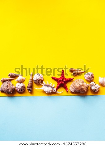   summer vacation concept with seashells on blue and yellow  background