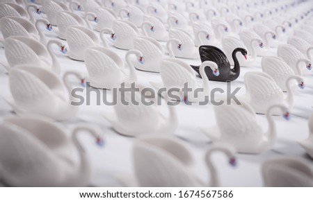 Black Swan Event (face masks). Concept. A rare and unexpected event that has a major effect, such as a financial crash or pandemic. It is a metaphor often used in science or economics. Royalty-Free Stock Photo #1674567586