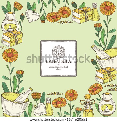 Background with calendula: calendula flowers, bud, calendula ,ranch, soap and bath salt. Cosmetic and medical plant. Vector hand drawn illustration