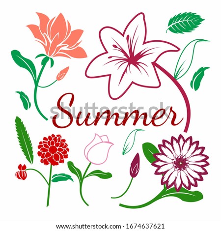 Summer flowers for your clip arts and illustration