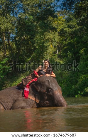 Beautiful thai women wearing traditional thai clothes sitting on an elephant in nature park thailand, woman concept
