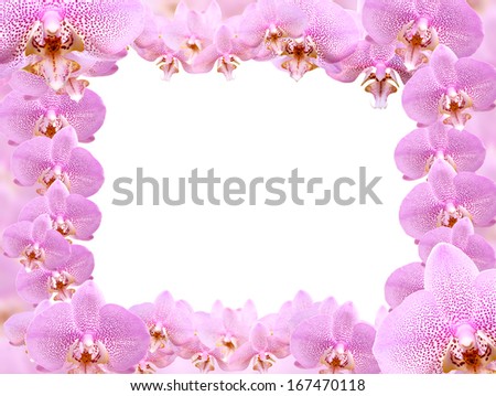 Picture frame made from lot of pink orchid flowers