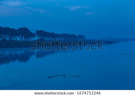 gyehwa island pine forest reflection sunrise 