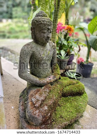 Buddha statue with meditation shape on blurred background.