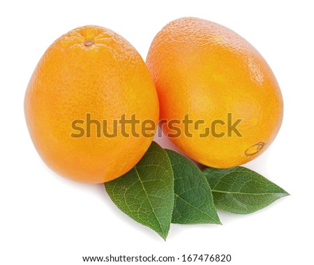 Fresh orange fruits with green leaves isolated on white background. Closeup.