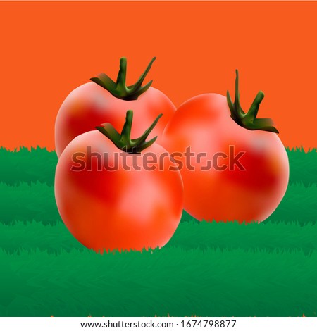 illustration vector graphic of Fresh tomattoes on orange background. with green grass 