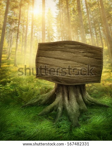 Wooden sign in the magic dark forest