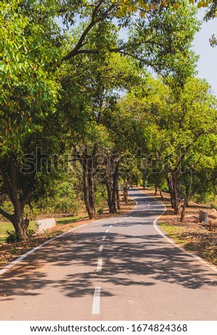 ZigZag Indian Highway with forest trees.