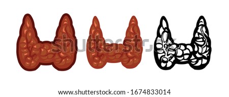 Thyroid gland vector isolate on a white background. Color image and monochrome icon. A series of illustrations on the internal organs. Anatomy.