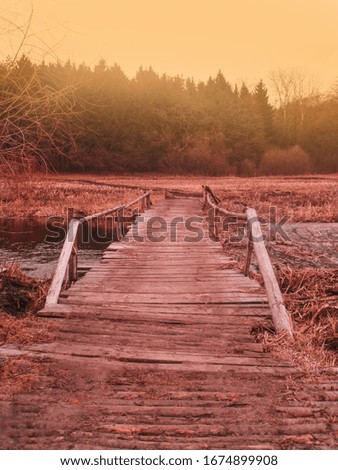 Autumn fall forest. Small wooden bridge in autumn
