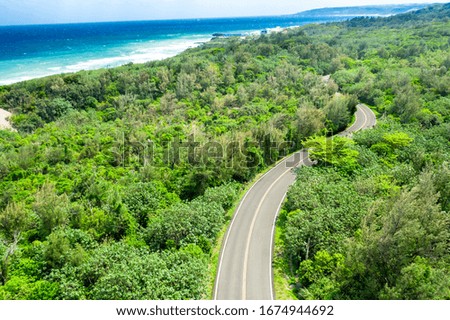 Aerial view of road in beautiful green forest and sea coast