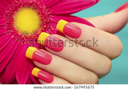 Two-tone manicure with pink and yellow varnish with flower gerbera on a blue background. Royalty-Free Stock Photo #167495675