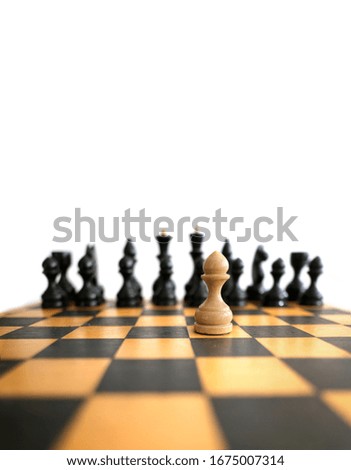 Chess on a wooden board on a white background