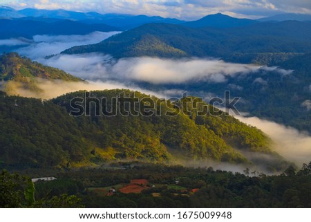 Mountain fog sky clouds landscape. green pine forest on a mount slope in a dense fog, wide outdoor background