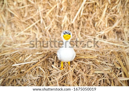 Model of duck and straw