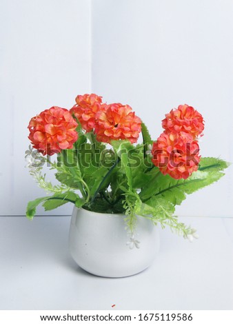 orange flowers on the vas for decoration or photo studio editing
