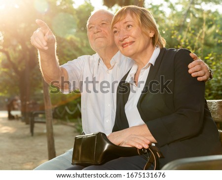 Happy elderly couple spending time together sitting on bench in park on sunny day
