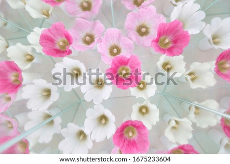 Photography of summer - spring floral luxury background with blooming flowers  hollyhock in trend colors - pink dove and beetroot purple with  white - pure harmony and romantic pattern