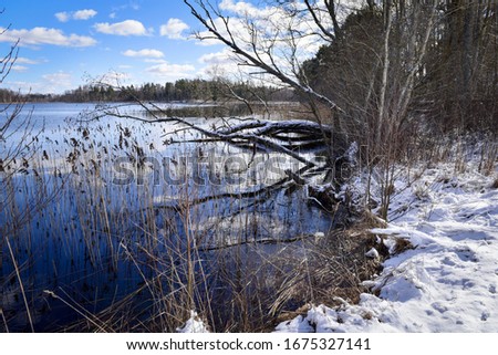 Lake shore in winter. Latvia, Razna lake.